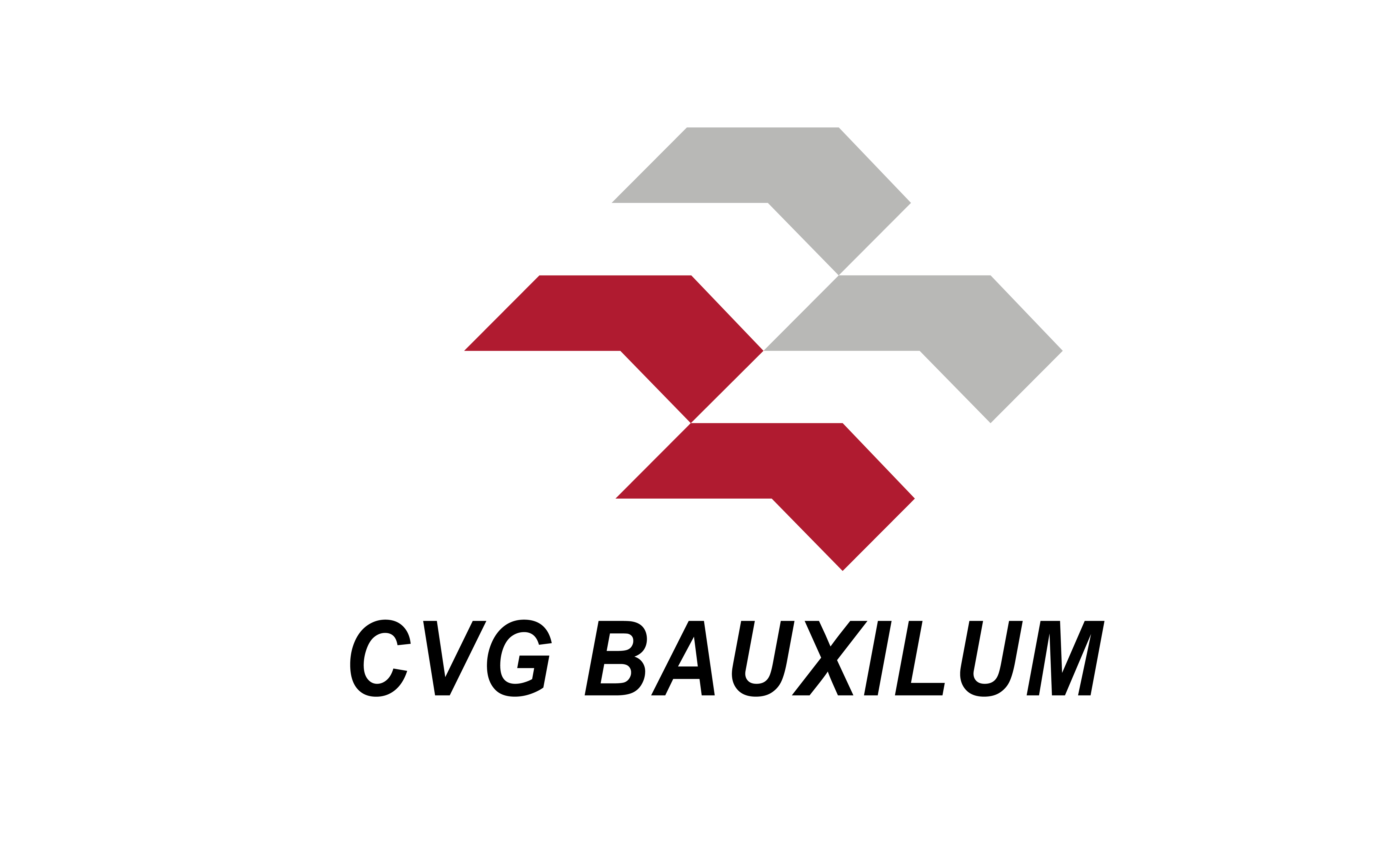 Logo Bauxilum